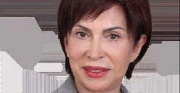 Zülfü Livaneli'nin Kardeşi Seyhan Livaneli Hayatını Kaybetti