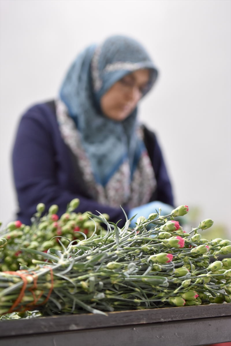 8 Mart Dünya Kadınlar Günü dolayısıyla Türkiye'den Hollanda ve İngiltere başta olmak üzere 35...