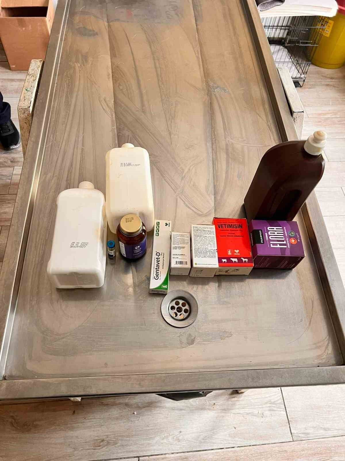 AÇLIKTAN BİRBİRİNİ YİYEN KÖPEKLERİN BAKILDIĞI BARINAKTA ÇOĞU İLACIN TARİHİ GEÇİT...