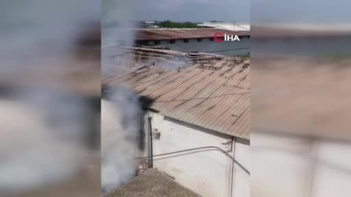 Adana'da narenciye paketleme tesisinde yangın