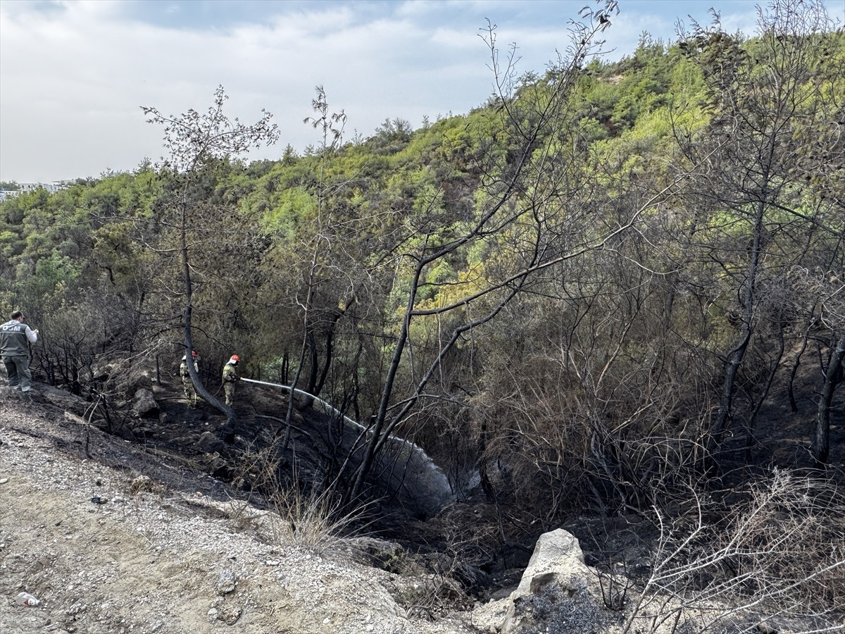 Adana'nın merkez Çukurova ilçesinde çıkan orman yangını ekiplerin müdahalesiyle...