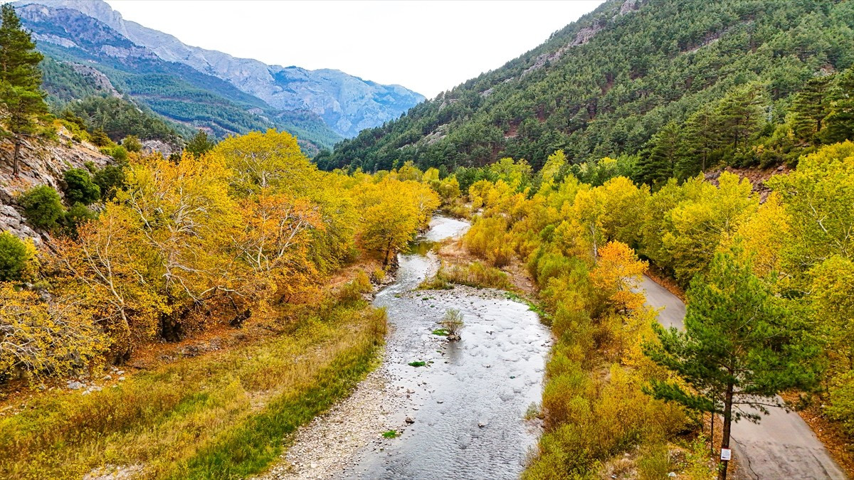 Adana'nın Pozantı ilçesinde sonbahar renklerinin hakim olduğu Belemedik Tabiat Parkı ve çevresi...