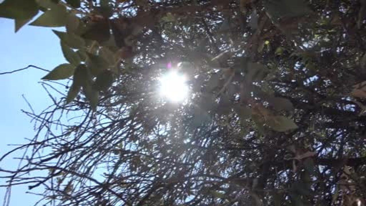 Adana'da hava sıcaklıkları 36 dereceye yükseldi