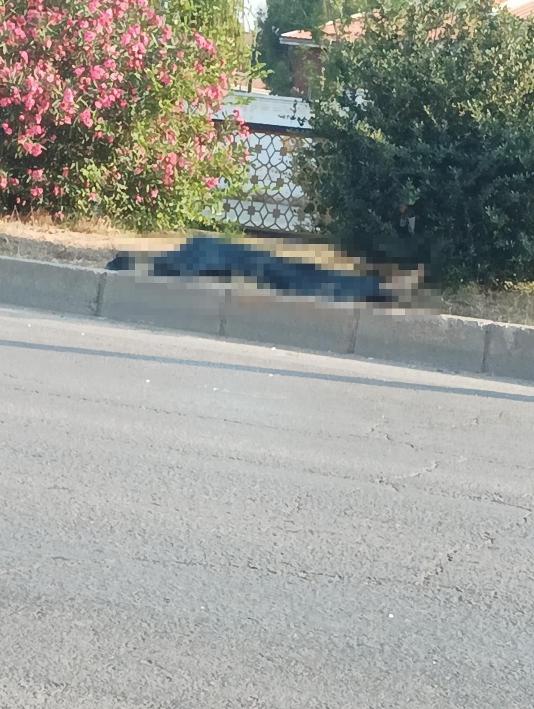 ADANA’DA YOLUN KARŞISINA GEÇMEYE ÇALIŞAN BİR KİŞİ, MİNİBÜSÜN ÇARPMASI SONUCU HAYATINI...