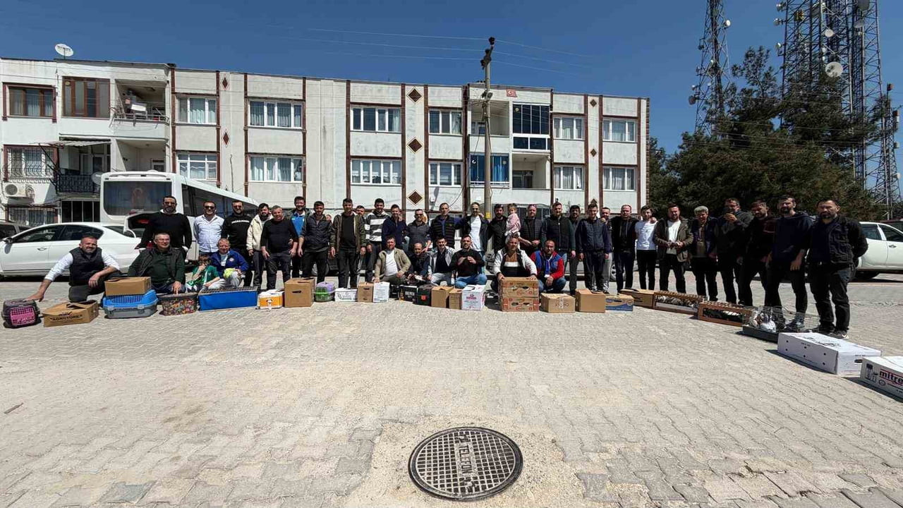ADİLE MEZARLIĞI YANINDAKİ ALANDA SAAT 12.00'DE BAŞLAYAN ETKİNLİKTE, YAKLAŞIK 45 GÜVERCİN SAHİBİ...