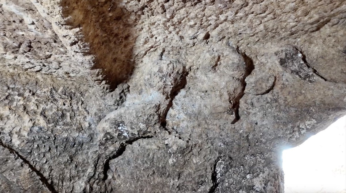 Adıyaman'da, Tharsa Antik Kenti'nde 1800 yıllık oda mezarı gün yüzüne çıkarıldı. 