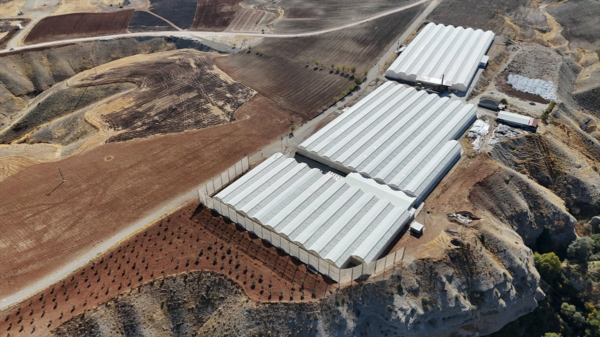 Adıyaman'ın Kahta ilçesinde 24 hektarlık kıraç araziyi süs bitkisi üretim alanına dönüştüren...