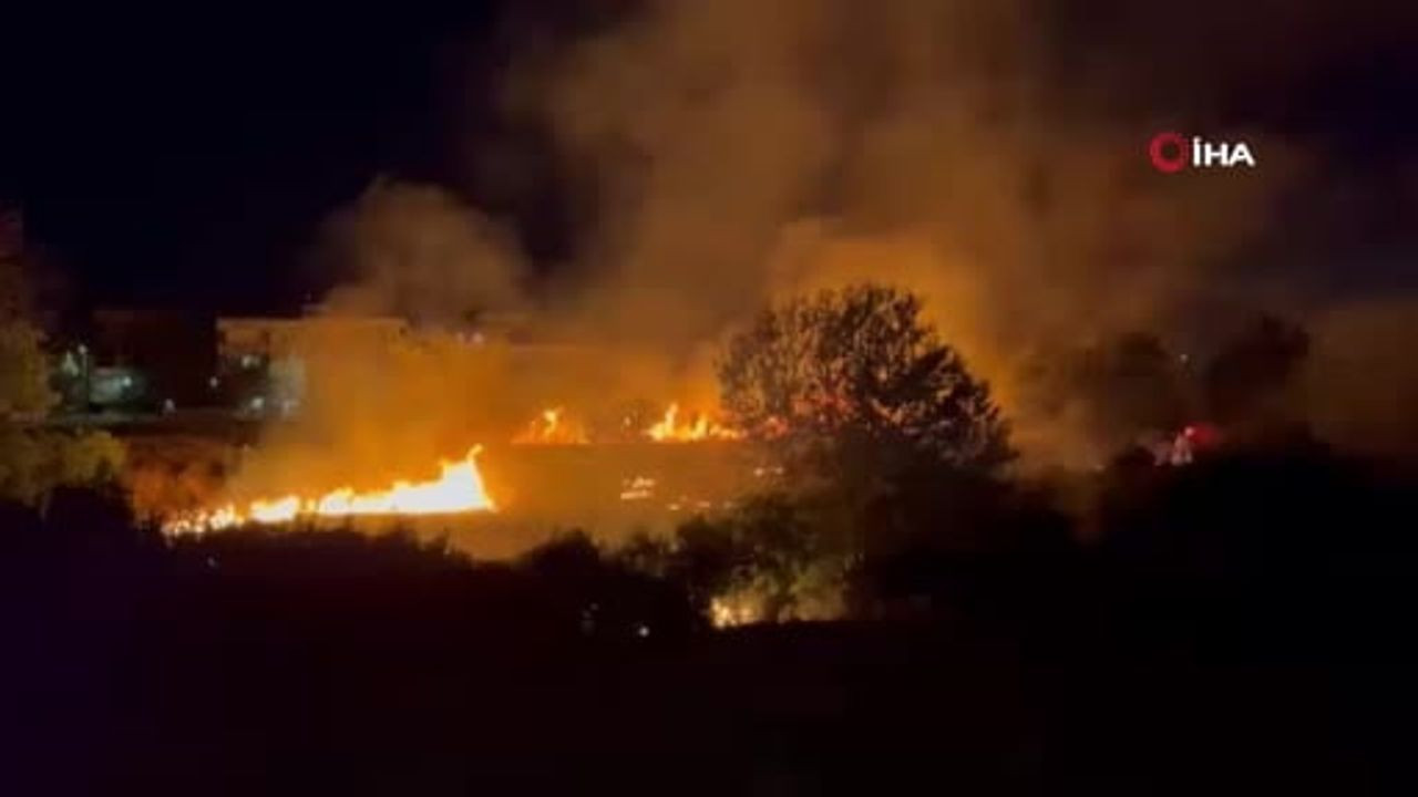 Adıyaman'da otluk alandaki yangın, bahçeye sıçradı