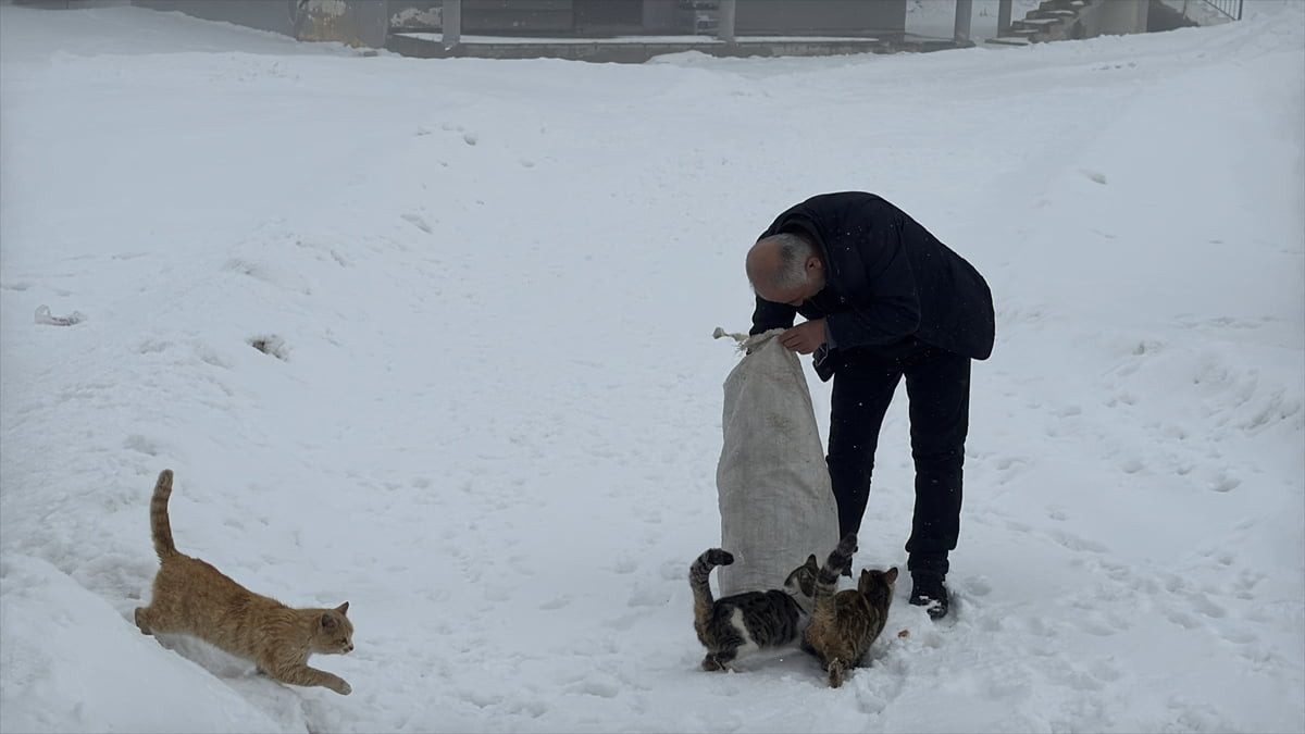 Adıyaman’da yaz aylarında nüfusu 2 bine yaklaşan Sarıkaya köyünde, kışın yalnızca muhtar ve ailesi...