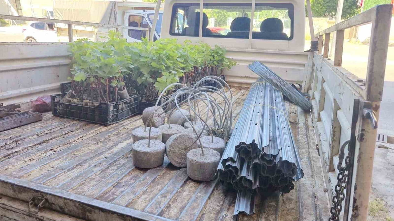 AFYONKARAHİSAR DİNAR İLÇE TARIM VE ORMAN MÜDÜRLÜĞÜ TARAFINDAN ‘BAĞCILIK PROJESİ’ ÇERÇEVESİNDE...
