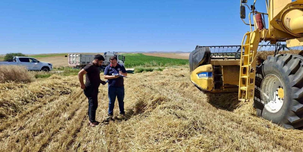 AFYONKARAHİSAR'DA HUBUBAT HASAT SEZONU BAŞMAKÇI, BOLVADİN VE DAZKIRI İLÇELERİNDE BAŞLADI. İL TARIM...