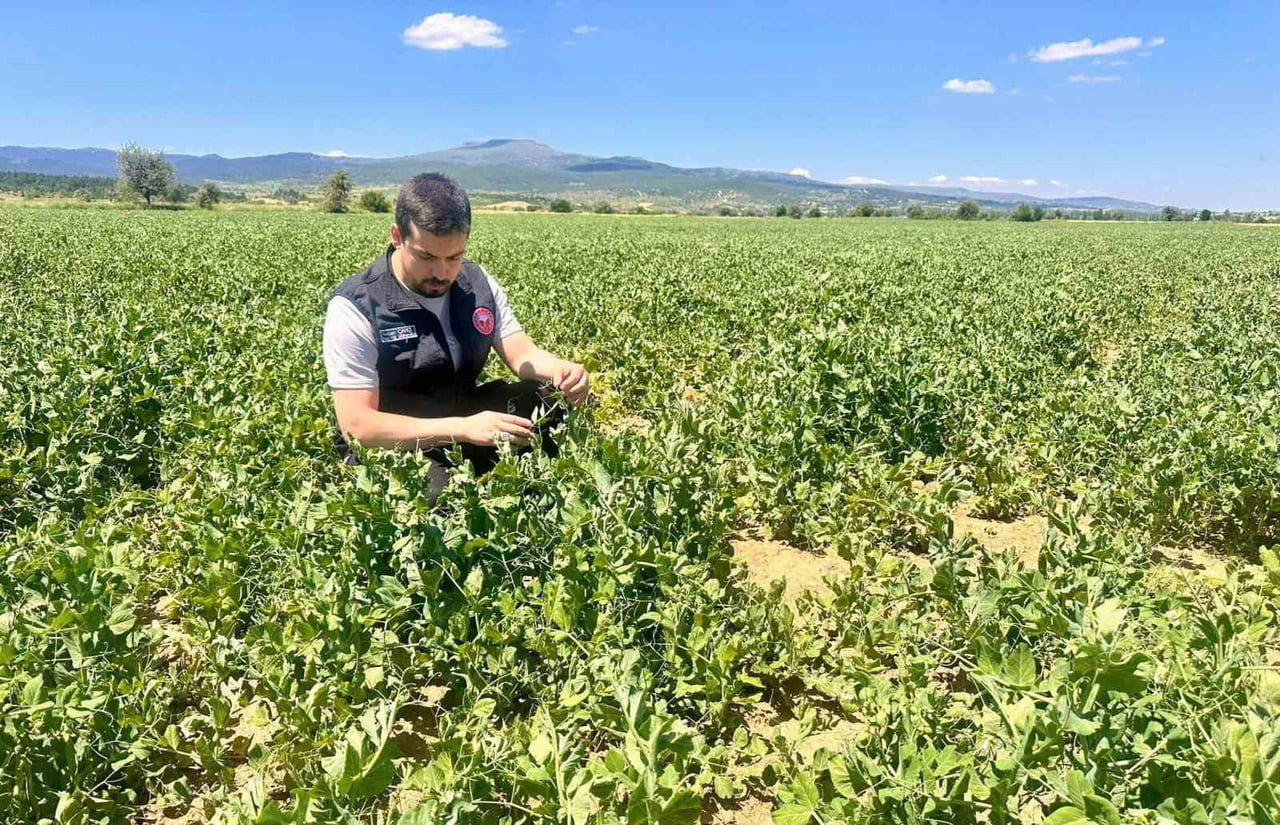 AFYONKARAHİSAR'DA TARIMSAL ÜRETİMİN PLANLI BİR ŞEKİLDE YÜRÜTÜLMESİ, ÜRETİM VERİLERİNİN...