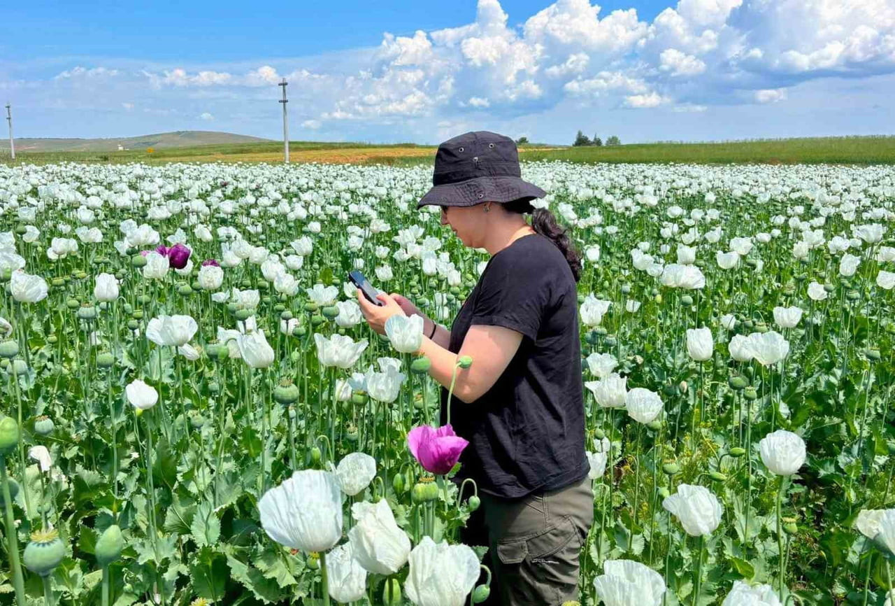 AFYONKARAHİSAR’DA TARIMSAL ÜRETİMİN PLANLI ŞEKİLDE YÜRÜTÜLMESİ, ÜRETİM VERİLERİNİN DOĞRULUĞUNUN...