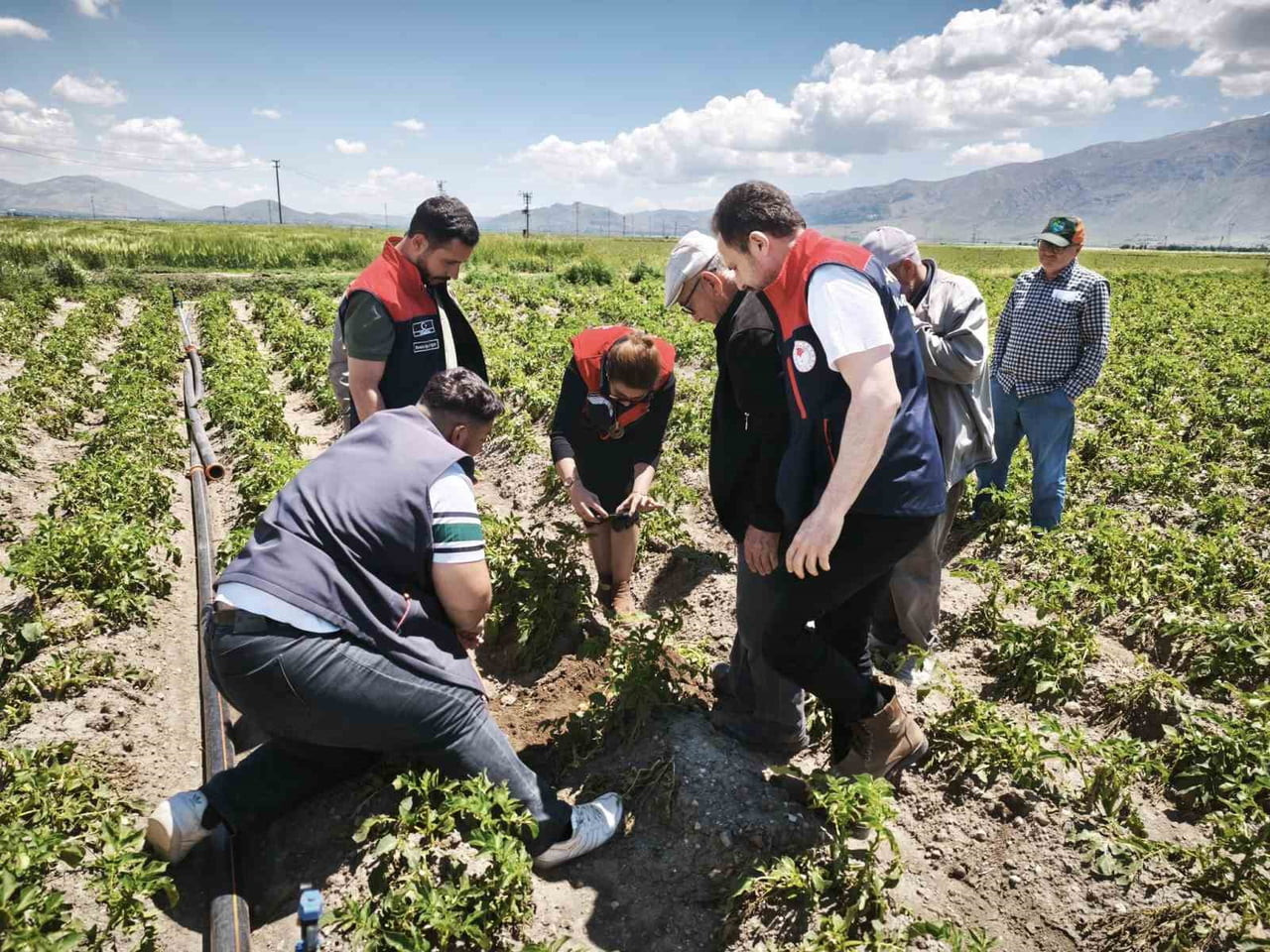 AFYONKARAHİSAR’IN DİNAR İLÇESİNDE YAŞANAN DOLU YAĞIŞI SONRASI TARIM ARAZİLERİNDE HASAR TESPİT...