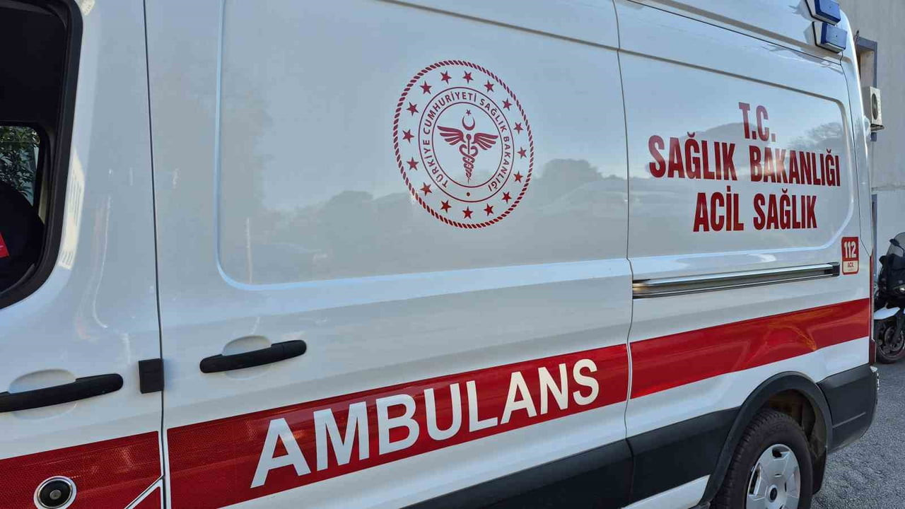 AĞIR YARALANAN ÇINAR YAŞAMA TUTUNAMADI