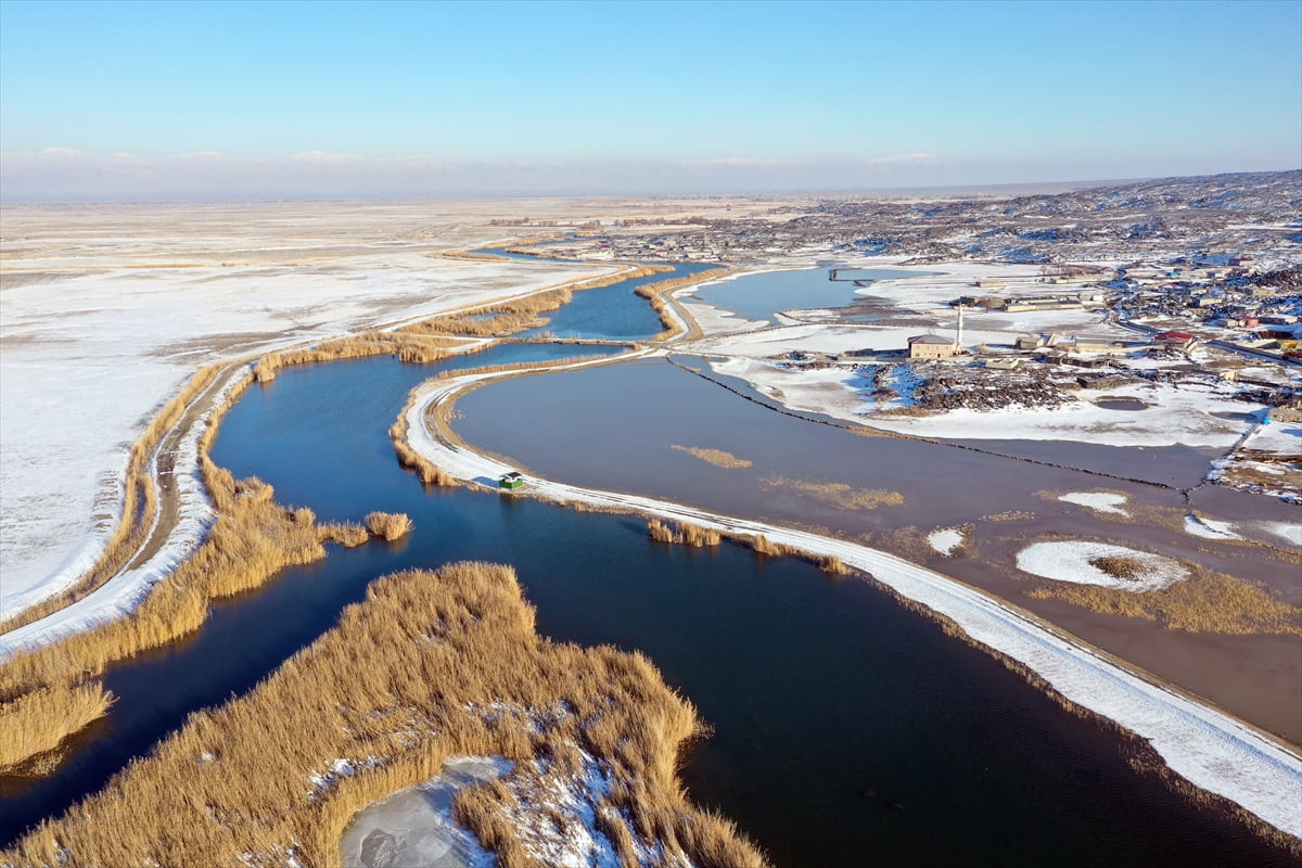Ağrı Dağı'nın eteklerindeki Karasu Sulak Alanı'nda dondurucu soğuklara rağmen 35 kuş türü tespit...