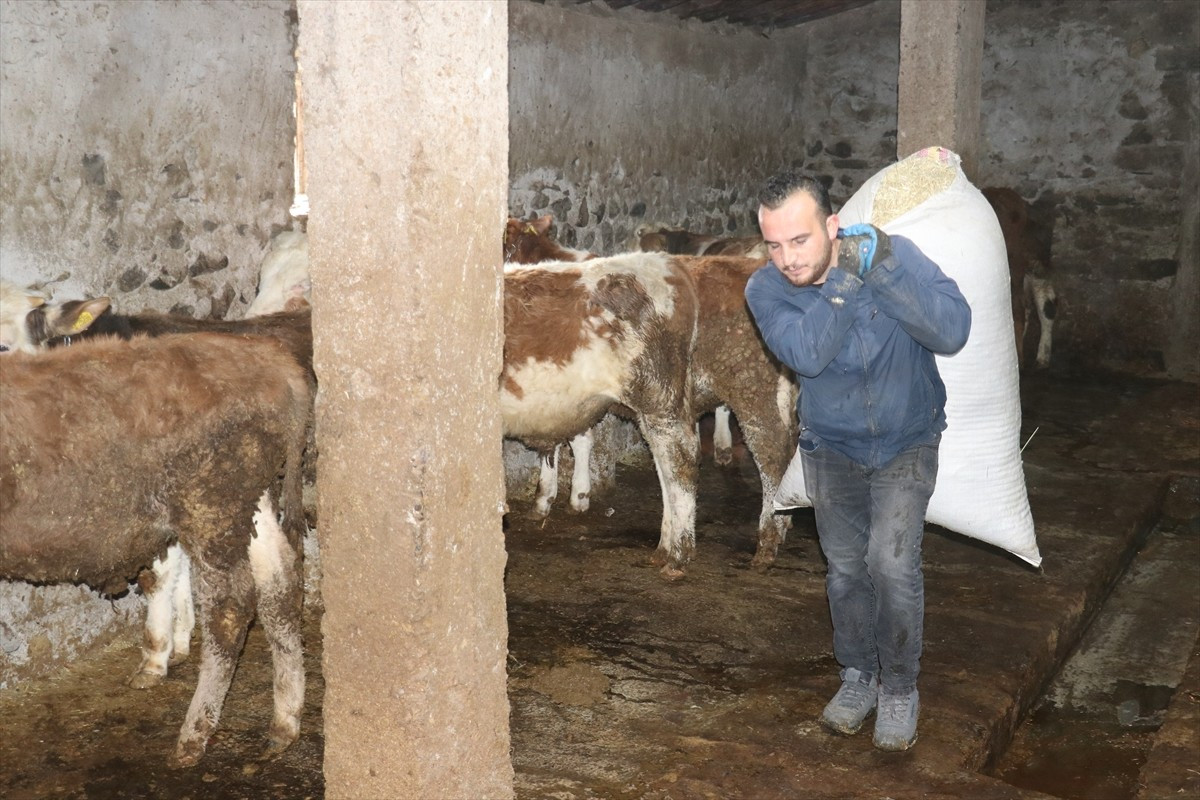 Ağrı'nın Çamurlu köyünde yaşayan veteriner tekniker Umut Dursun, "Uzman Eller Projesi"nden...