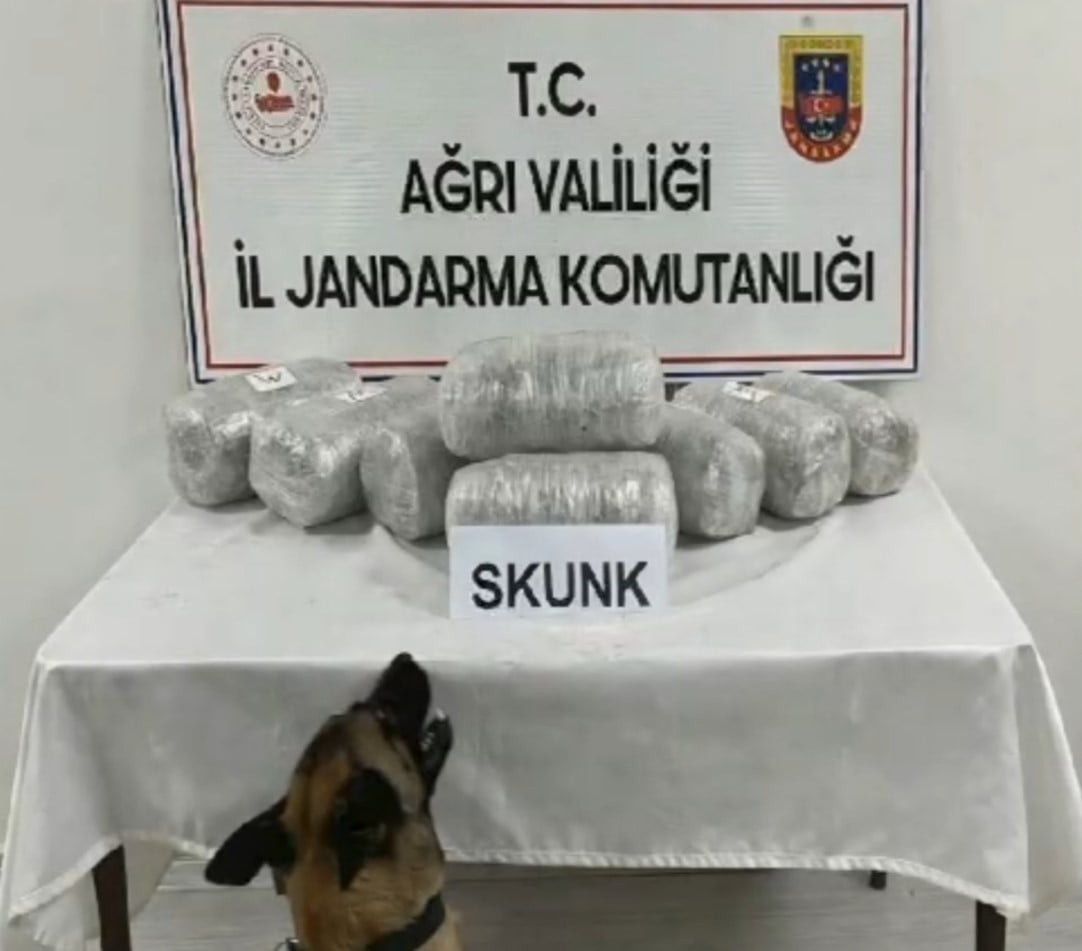 AĞRI’DA JANDARMA EKİPLERİNCE DÜZENLENEN OPERASYONDA 10 KİLOGRAM SKUNK ELE GEÇİRİLDİ, GÖZALTINA...