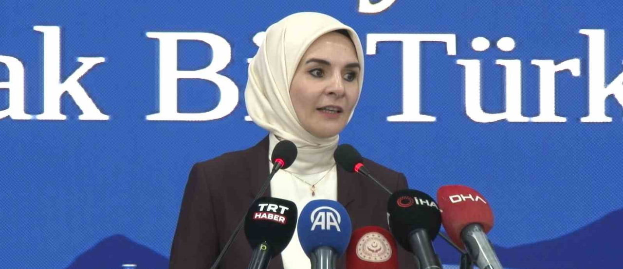 AİLE VE SOSYAL HİZMETLER BAKANI MAHİNUR ÖZDEMİR GÖKTAŞ, TÜRKİYE’DEKİ AİLE YAPISI HAKKINDA, "AİLE...