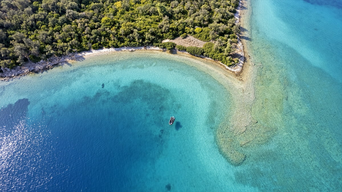 Akdeniz Koruma Derneği Başkanı Zafer Kızılkaya, AA muhabirine 2025'te yürüttükleri çalışmalar ve...