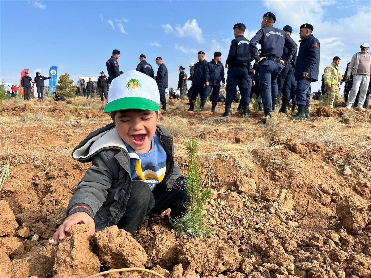 Aksaray'da 11 Kasım Milli Ağaçlandırma Günü dolayısıyla toplam 11 bin ağaç toprakla...