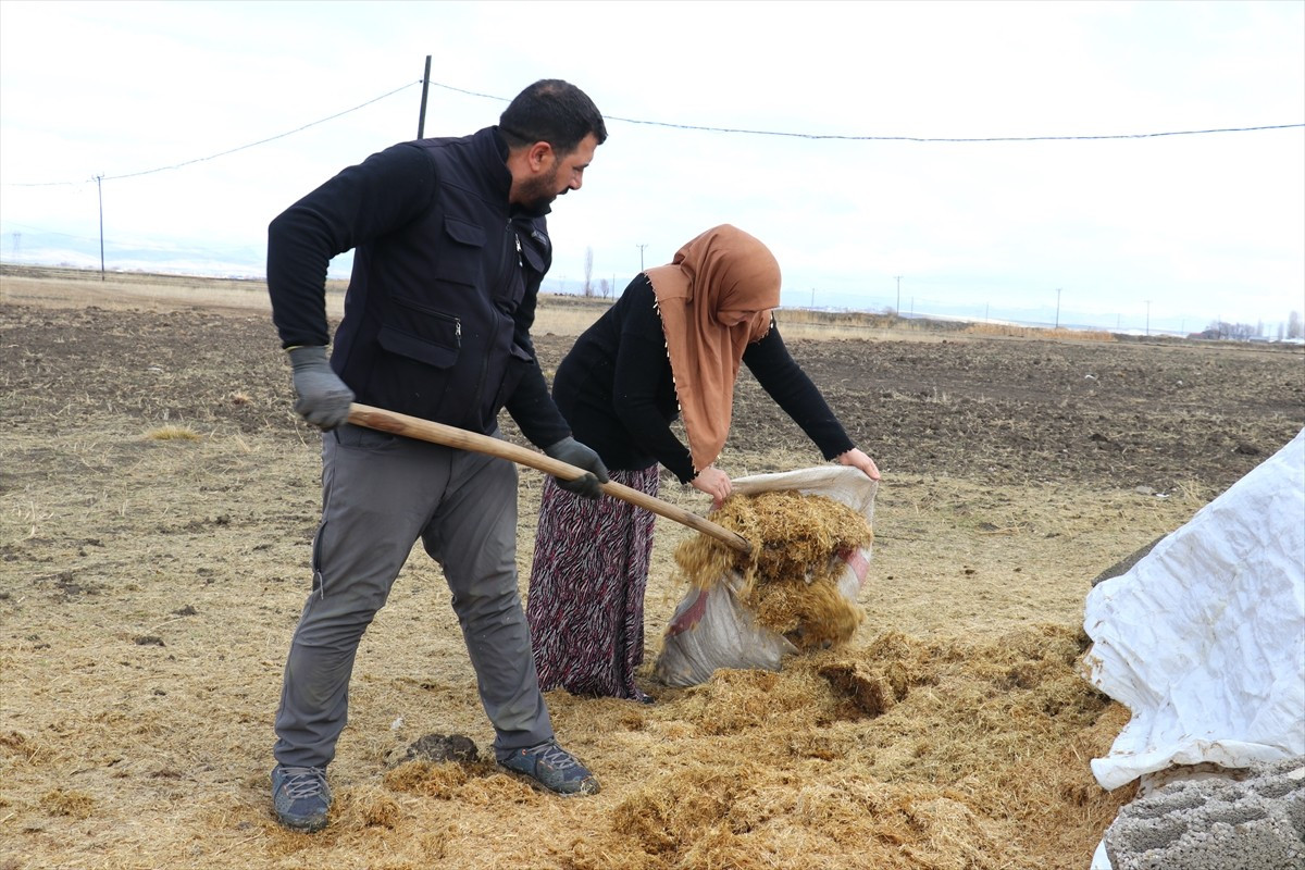 Aksaray'dan gelin gittiği Ağrı'da eşinin ikna etmesiyle köyde yaşamaya başlayan kadın...
