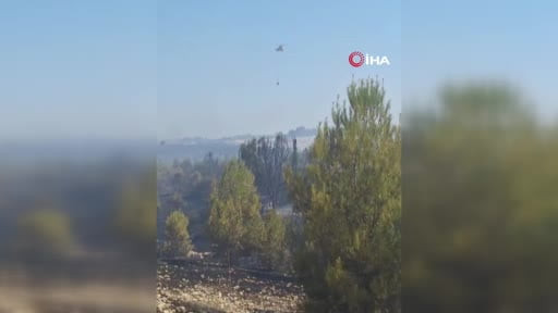 Aksu'da orman yangınına havadan ve karadan müdahale