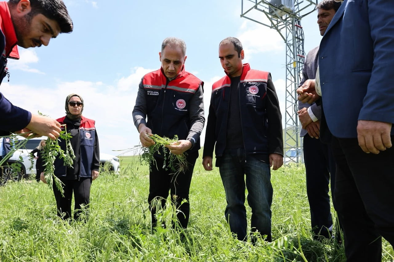 AKYAKA’DA DOLU YAĞIŞI TARIM ARAZİLERİNİ VURDU: HASAR TESPİT ÇALIŞMALARI...
