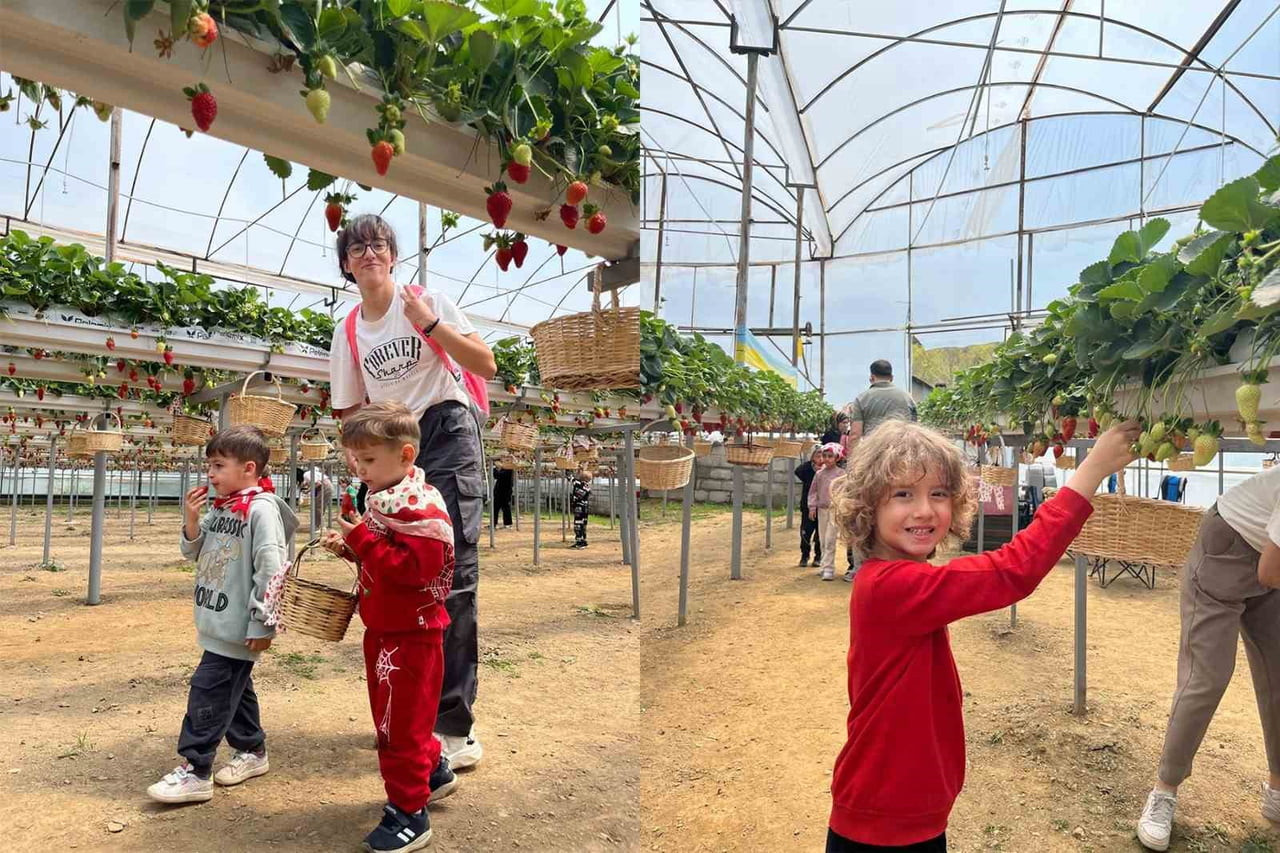 ALANYA ALAADDİN KEYKUBAT ÜNİVERSİTESİ (ALKÜ) UYGULAMA ANAOKULU ÖĞRENCİLERİ, ERKEN ÇOCUKLUK...