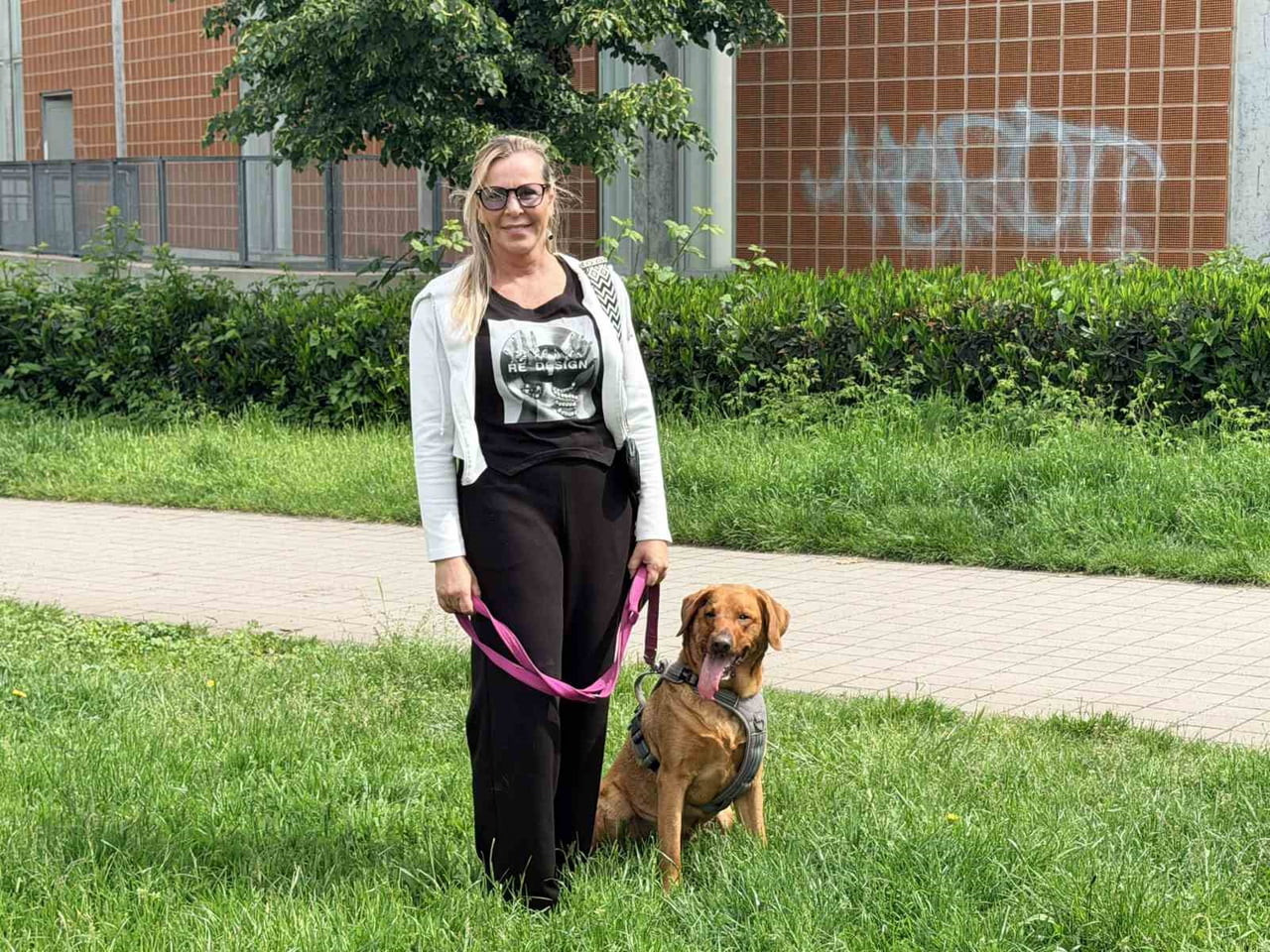 ALMANYA’DA KÖPEK SAHİPLERİ, HAYVANLARININ NEDEN OLABİLECEĞİ MADDİ VE FİZİKSEL ZARARLARA KARŞI...