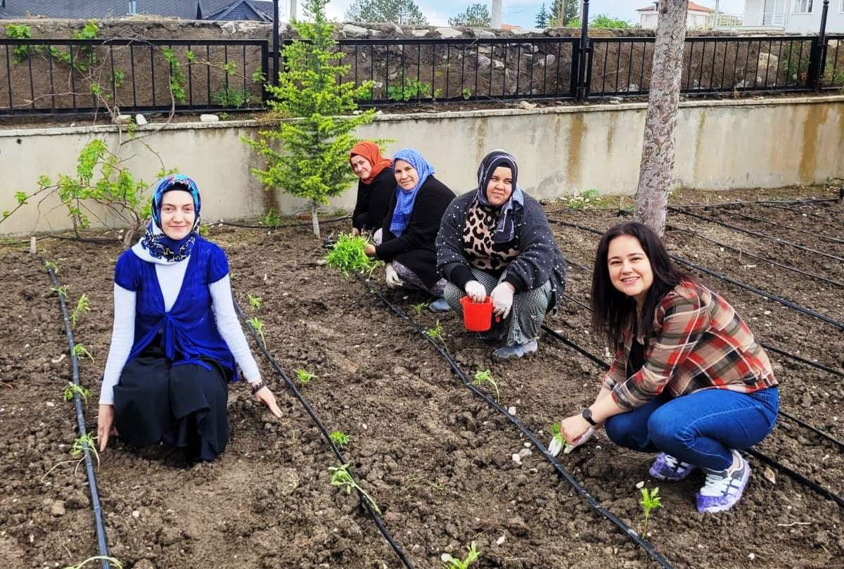 ALTINTAŞ’TA ÖĞRETMENLER DOMATES FİDELERİNİ TOPRAKLA BULUŞTURDU