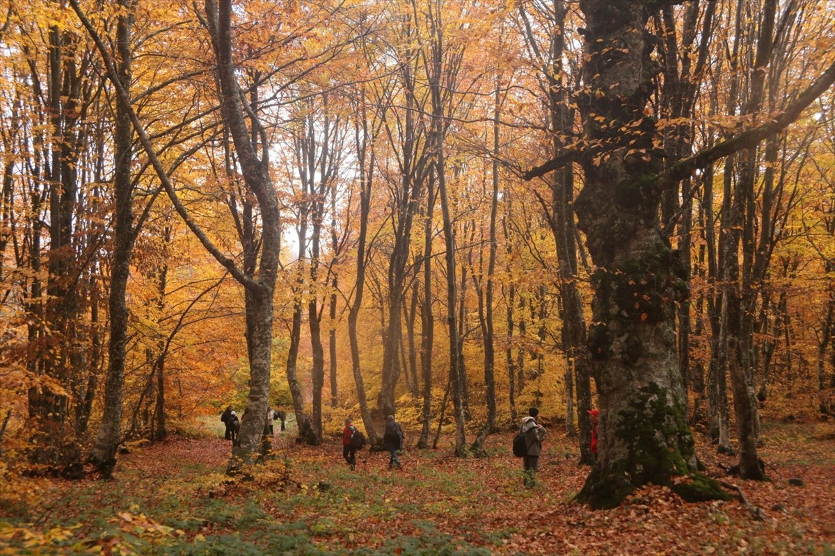 Amasya'nın Gümüşhacıköy ilçesinde yer alan İnegöl Dağları, sonbaharın gelmesiyle ziyaretçilerini...