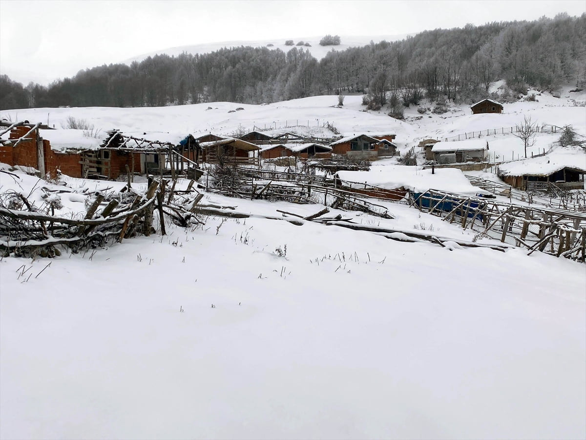  Amasya'nın yüksek kesimleri kar yağışının ardından beyaza büründü. Taşova ilçesine bağlı Dereli...