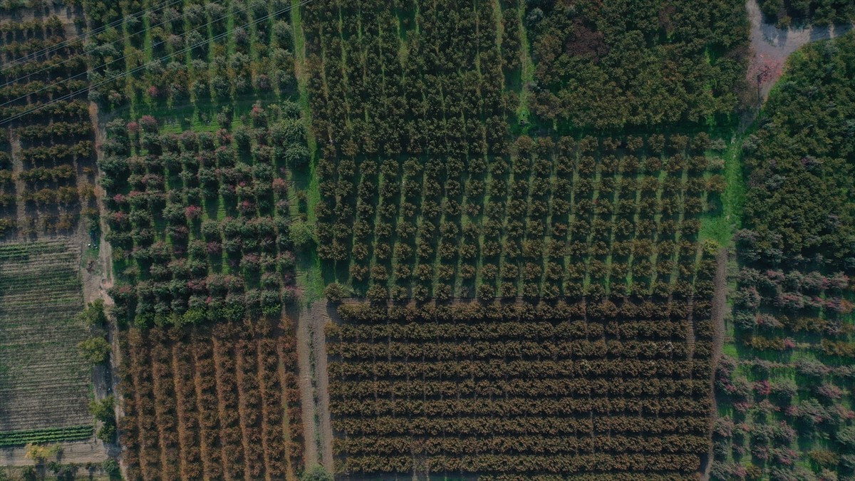 Ana su kaynağı barajlardaki doluluk oranı yüzde 1'in altına düşen, su ihtiyacının bir bölümü...