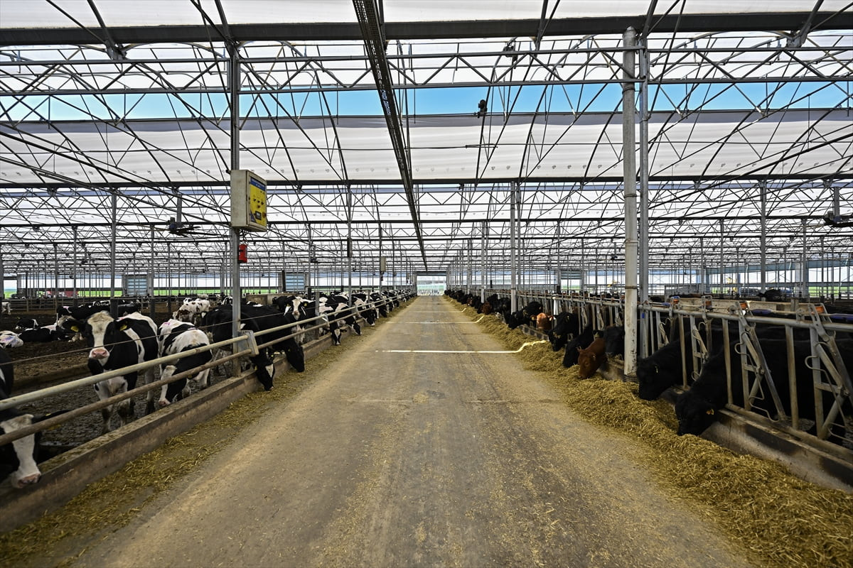 Anadolu Ajansının "Tarımda Dijital Çağ" başlıklı dosyasının bu haberinde, TÜME'nin tarım ve...