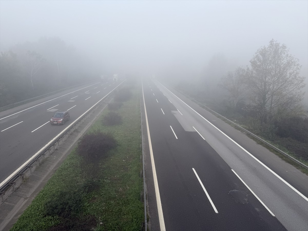 Anadolu Otoyolu'nun Düzce geçişinde sis etkili oldu. İstanbul ile Ankara arasında ulaşımı sağlayan...