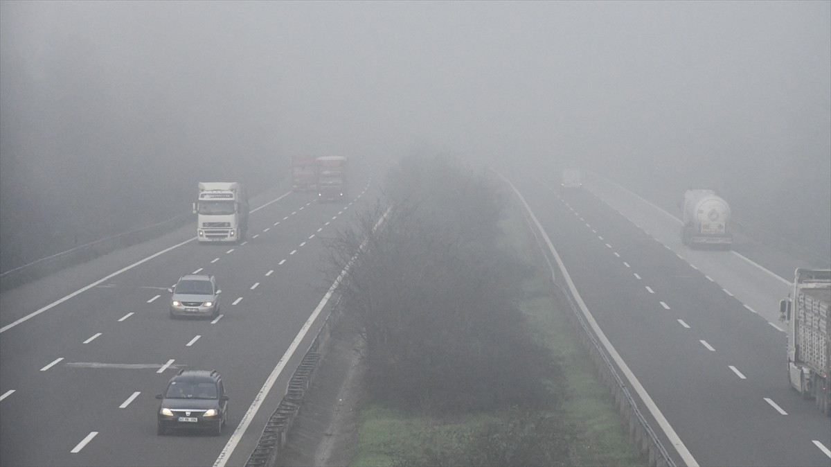Anadolu Otoyolu'nun Düzce geçişinde sis, görüş mesafesini düşürdü. Otoyolun Düzce gişeleri...