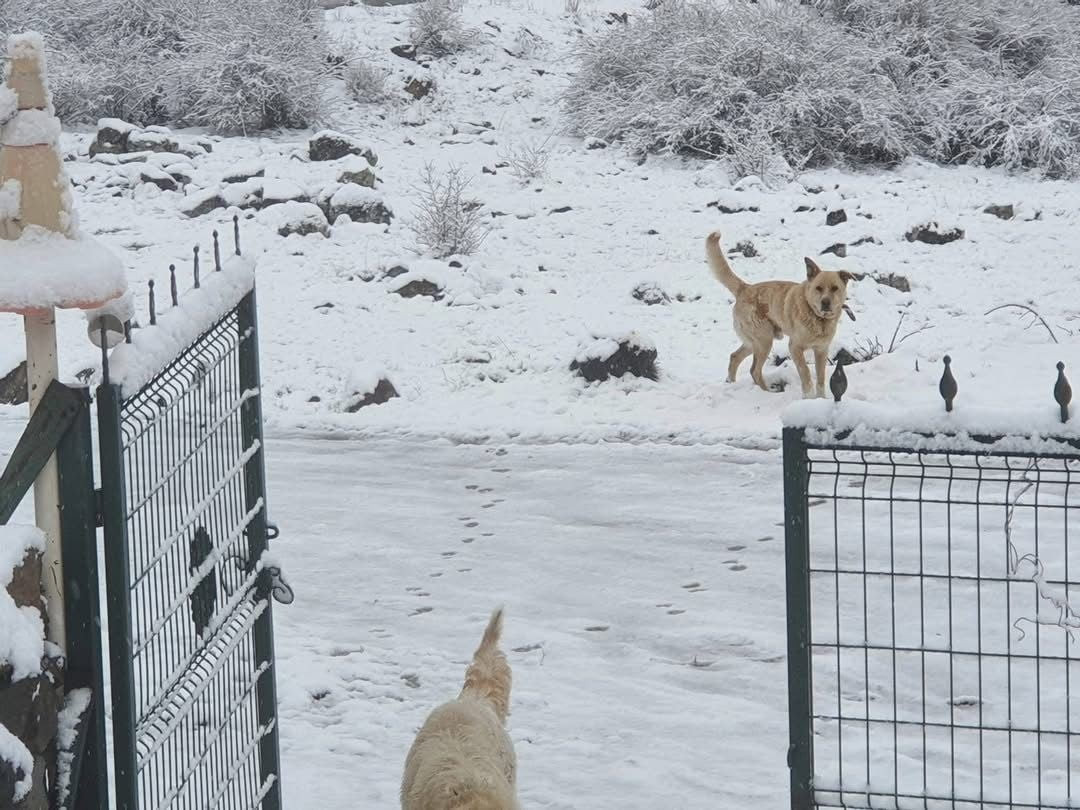 ANKARA'NIN KUZEY İLÇELERİNDE SABAH SAATLERİNDEN KAR YAĞIŞI ETKİLİ OLMAYA BAŞLADI.