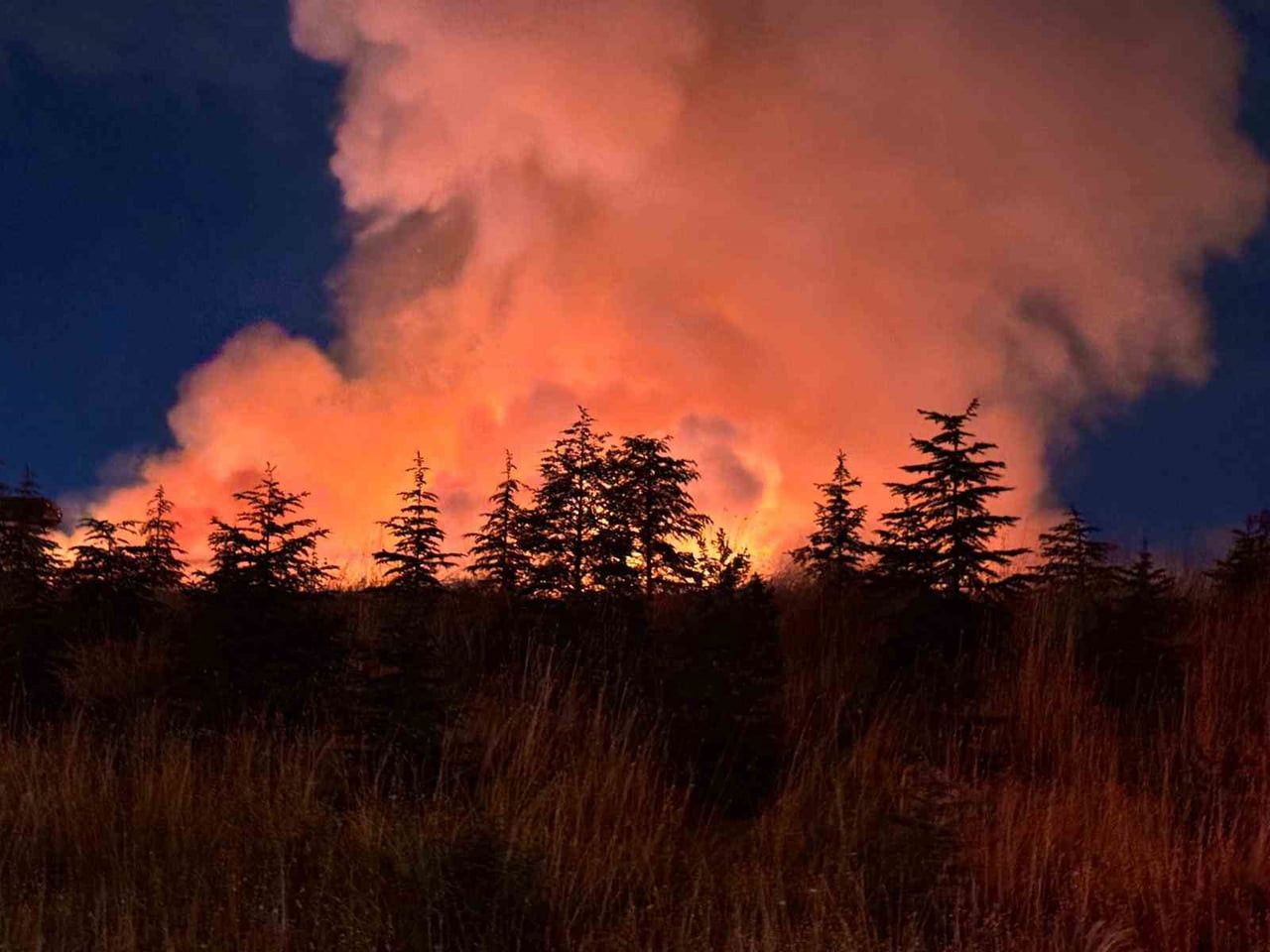 ANKARA'NIN YENİMAHALLE İLÇESİNDE TAHTA PALETLERİN DE BULUNDUĞU OTLUK ALANDA ÇIKAN YANGIN İTFAİYE...