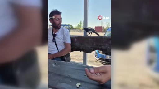 Ankara’da karga hırsızlığı kamerada