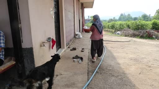 Annesinin reddettiği oğlak, anne sevgisini Hayriye teyzenin yanında buldu