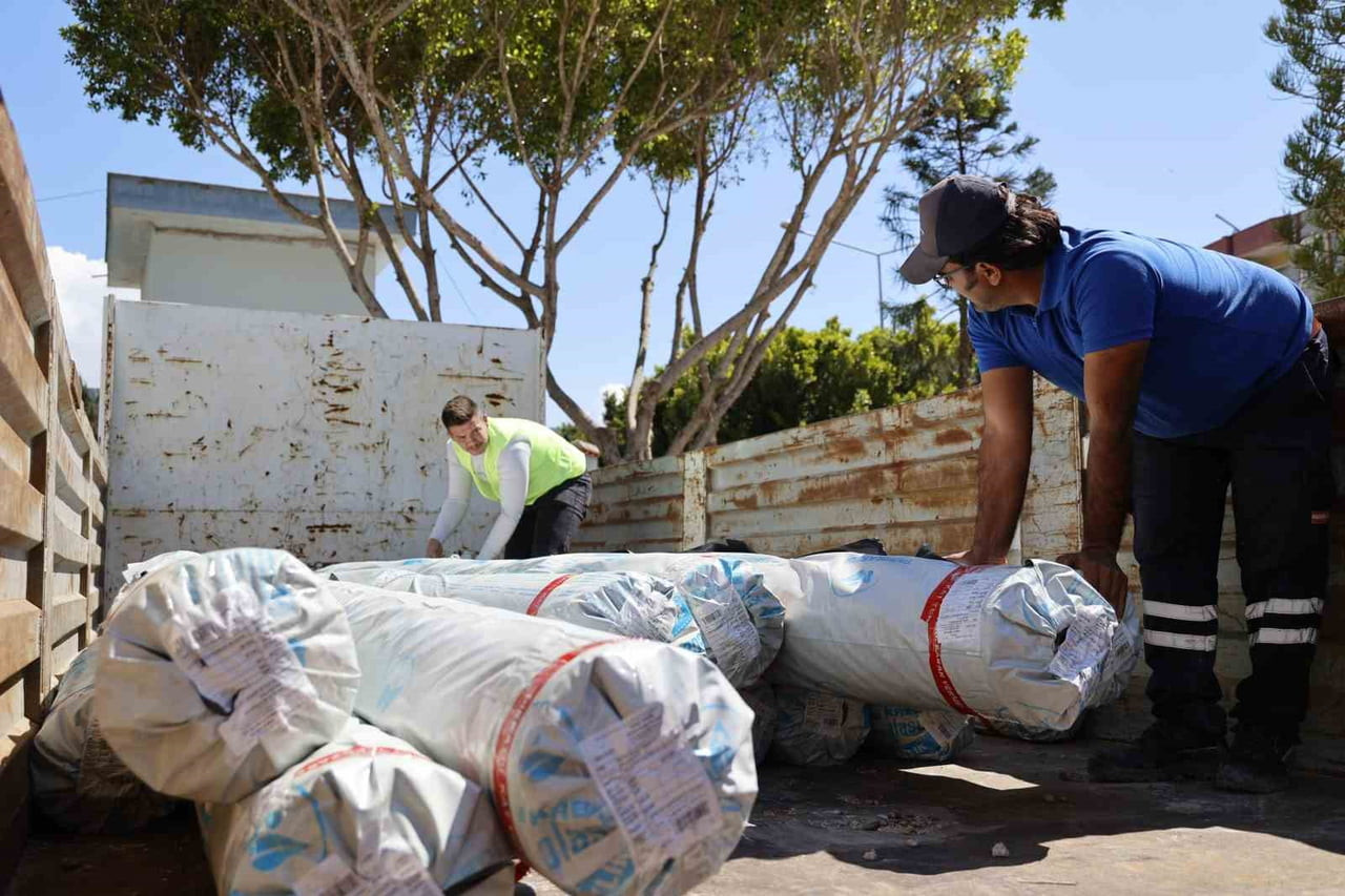 ANTALYA BÜYÜKŞEHİR BELEDİYESİ TARIMSAL HİZMETLER DAİRESİ BAŞKANLIĞI EKİPLERİ, KUMLUCA İLÇESİNDE...