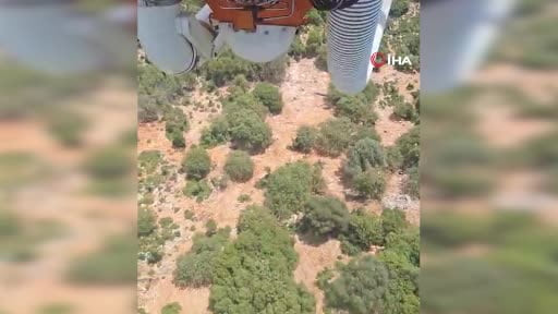Antalya Demre’de orman yangını