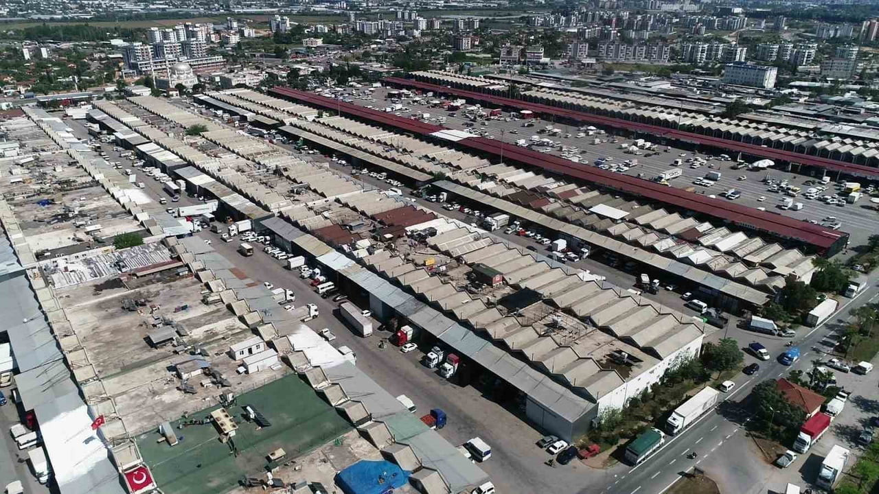 ANTALYA HALLERİNDE İŞLEM GÖREN DOMATES MİKTAR ENDEKSİ YILLIK YÜZDE 10,37, FİYAT ENDEKSİ YÜZDE...