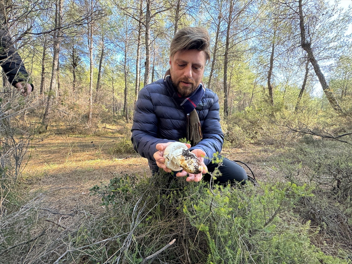 Antalya'da bir araya gelen mantar meraklıları, mantar uzmanı Ömer Üngör eşliğinde bölgede yetişen...