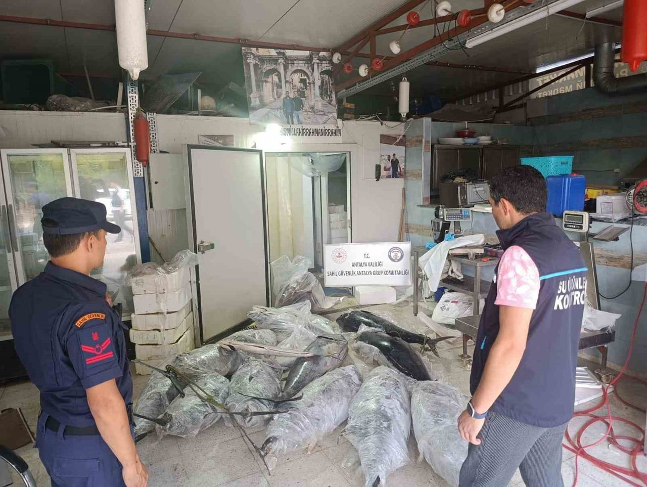 ANTALYA'DA BİR DEPODA YAPILAN İNCELEMEDE AVLANMASI VE SATIŞI YASAK OLAN ARALARINDA KALKAN VE MAVİ...