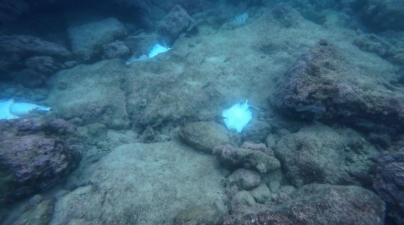 ANTALYA'DA HIDIRLIK KULESİ AÇIKLARINDA KÜREK SÖRFÜ YAPAN BİR VATANDAŞIN SU ALTI KAMERASINA ÇOK...