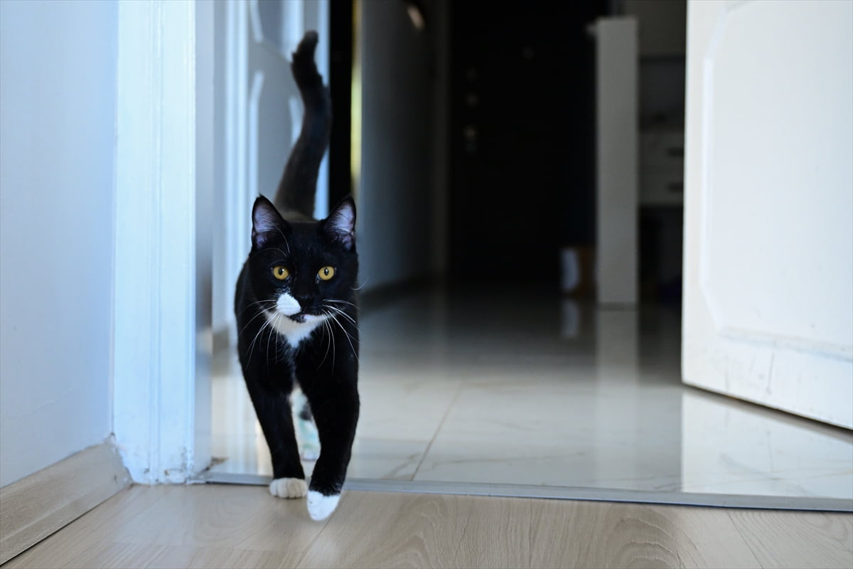 Antalya'da trafik kazasında ayakları kopma noktasına gelen ve bir ağacın altına atılarak ölüme...