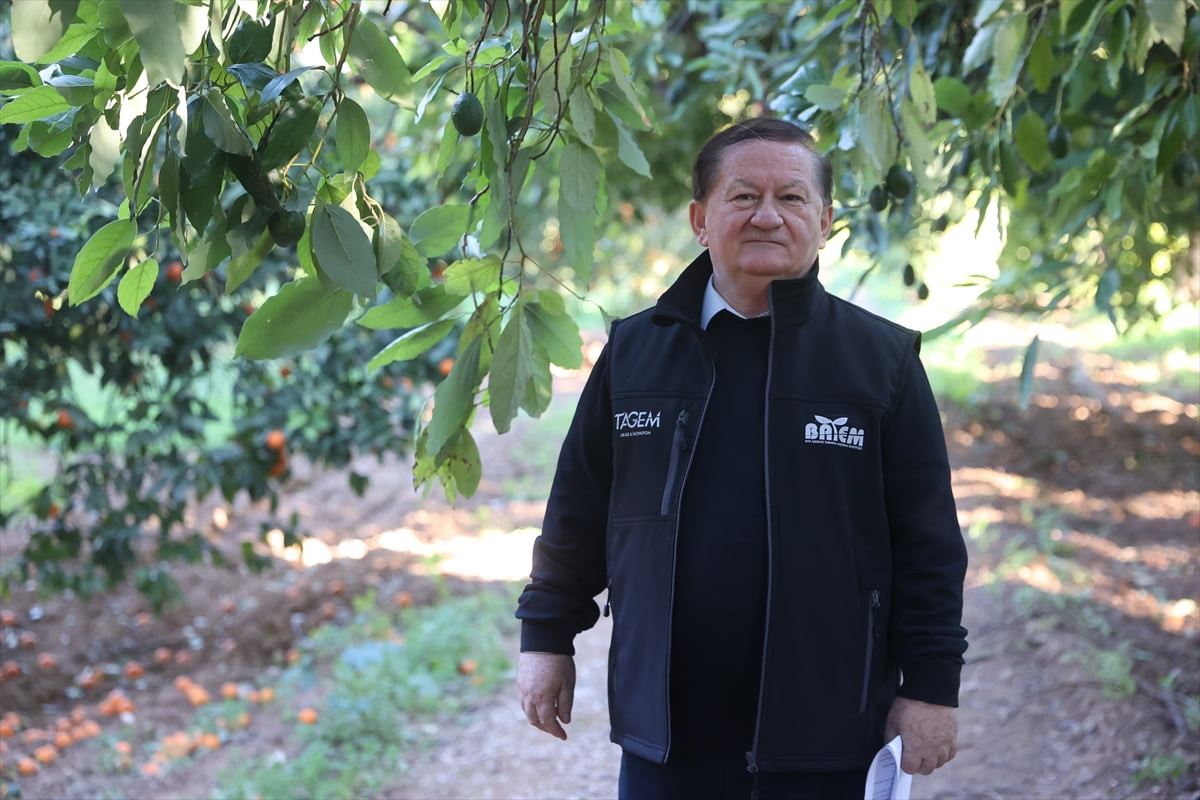 Antalya'daki Batı Akdeniz Tarımsal Araştırma Enstitüsü Müdürlüğünce (BATEM), 55 yıl önce deneme...