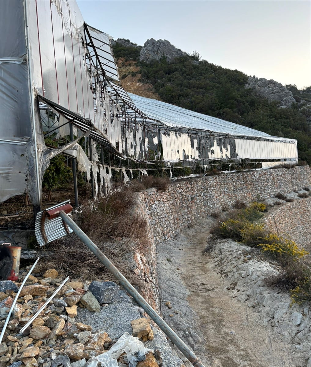 Antalya'nın Alanya ilçesinde bir muz serasının kundaklanmasına ilişkin gözaltına alınan 3 şüpheli...